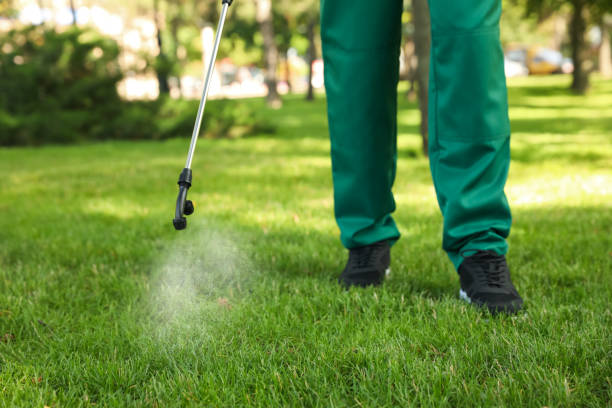 Best Emergency Pest Control  in Vine Grove, KY