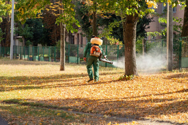 Best Termite Control Services  in Vine Grove, KY
