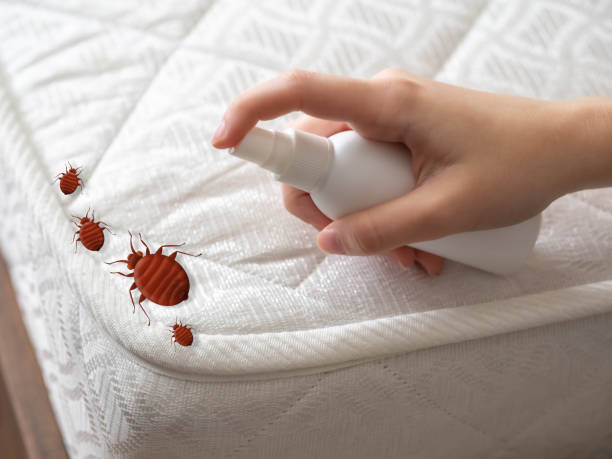 Pest Prevention Services in Vine Grove, KY