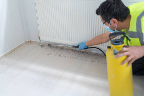 Best Flea Control Services  in Vine Grove, KY
